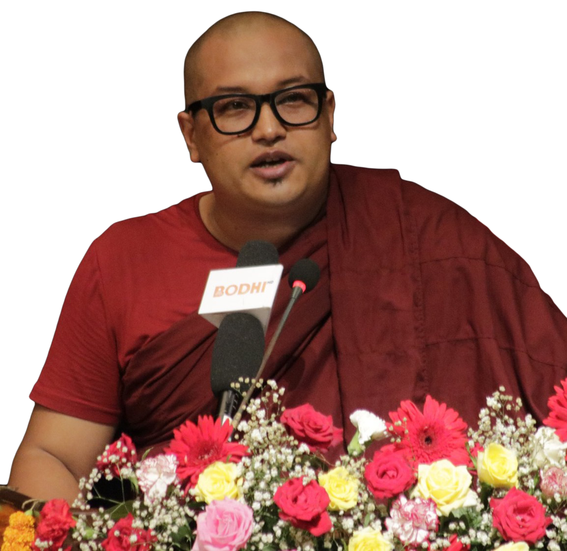 Picture of Chairperson Venerable Piyadassi